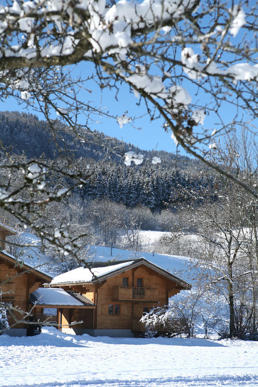 Residence Nemea Les Chalets Du Bois De Champelle Morillon Εξωτερικό φωτογραφία